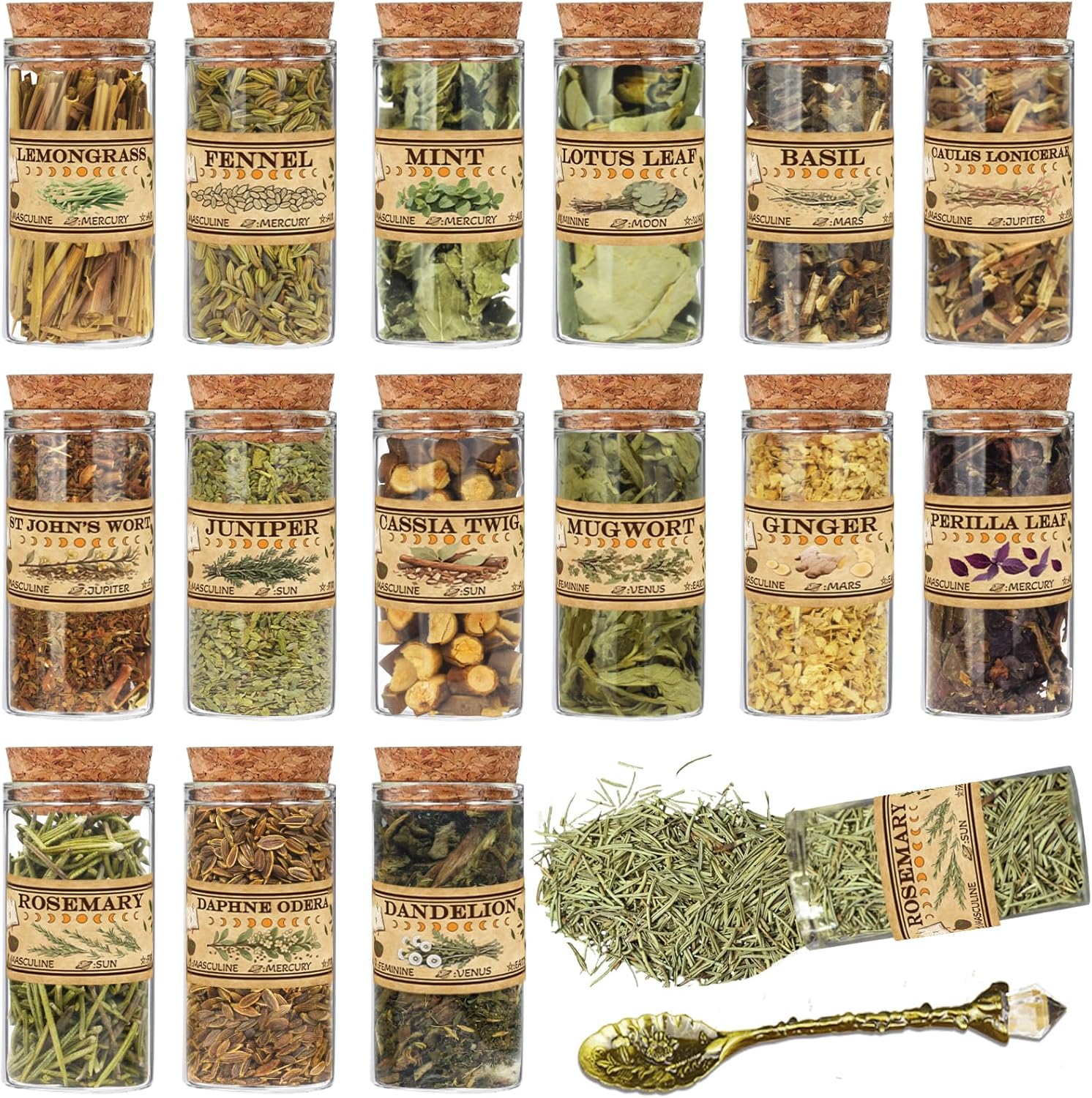 15 Witch’s Herb Jars