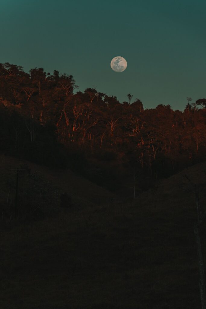 A moonlit night sky suitable for moon journaling and moon magic.