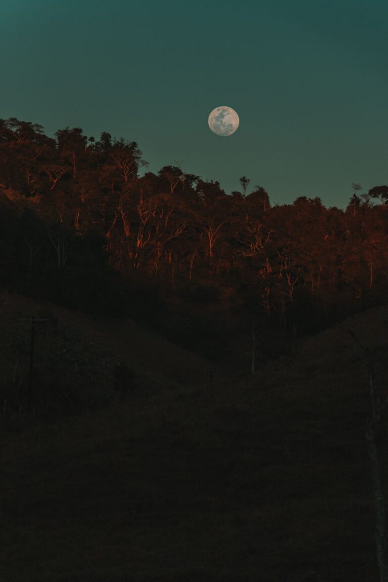 A moonlit night sky suitable for moon journaling and moon magic.