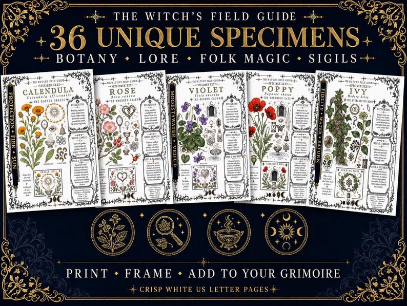 Witch's Field Guide Grimoire Page Bundle