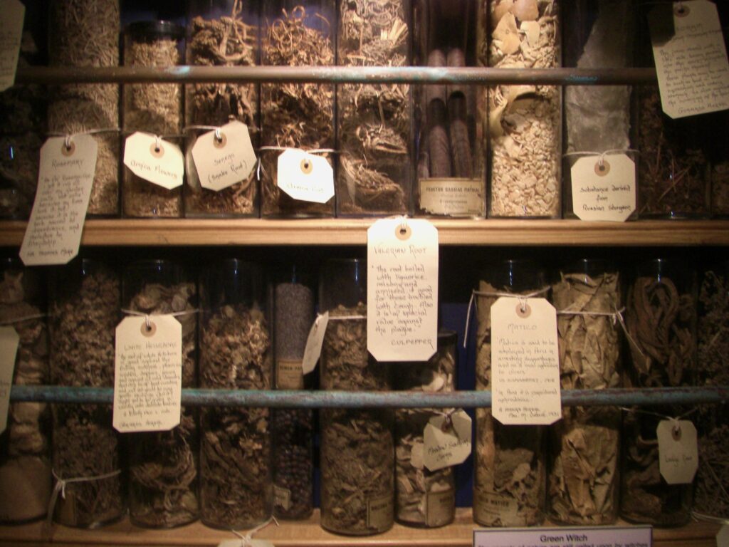 Jars of herbs and ingredients used for traditional folk magic and kitchen witchcraft.