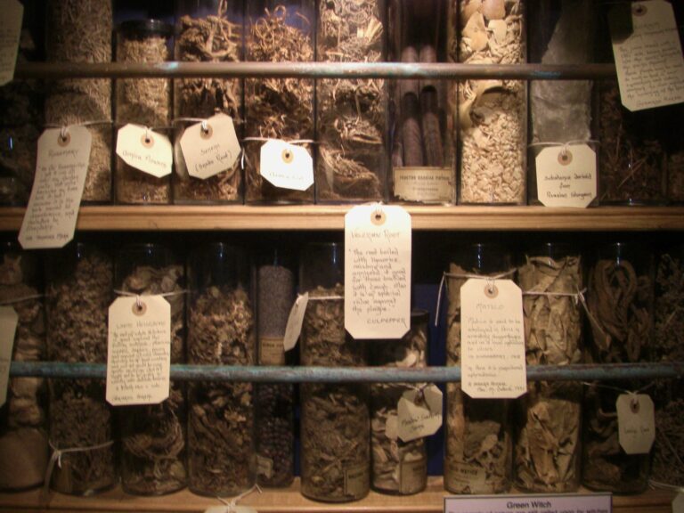 Jars of herbs and ingredients used for traditional folk magic and kitchen witchcraft.
