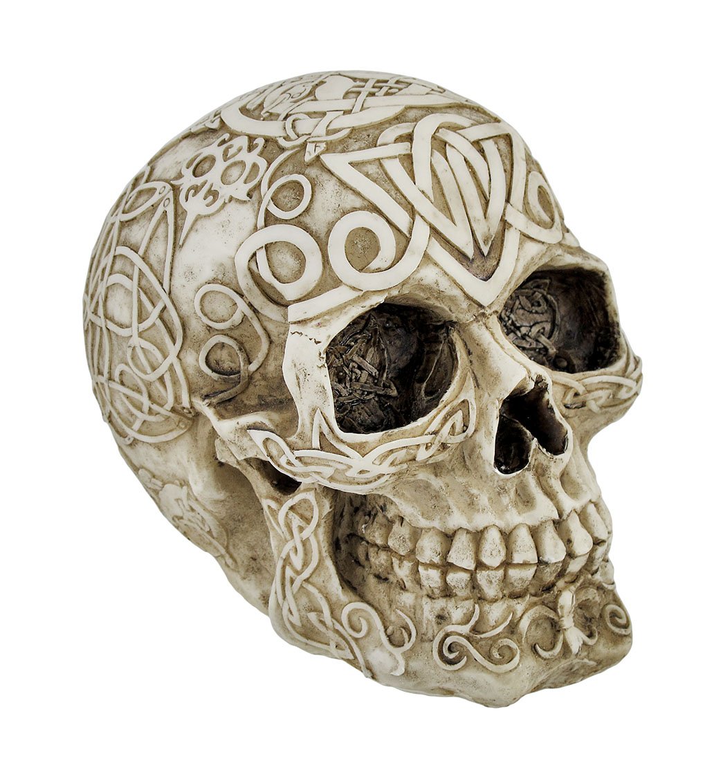 Celtic Owl Knotwork Skull Statue